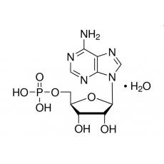 5- 一磷酸腺苷（AMP ）