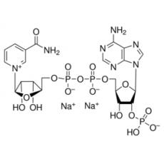 氧化型辅酶II