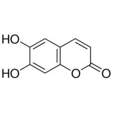 秦皮乙素  98%高纯级